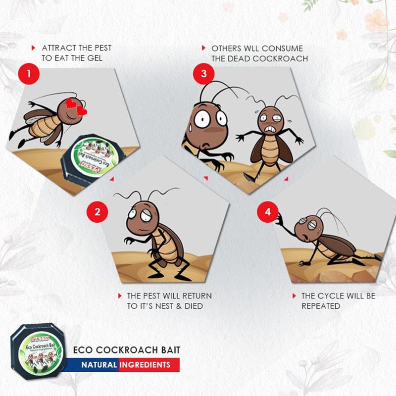 Kleenso Pesso Eco Cockroach Bait 2pcs (Cockroach Repellent) Umpan Lipas 5 kleenso A diagram showing the steps of how to remove cockroaches.