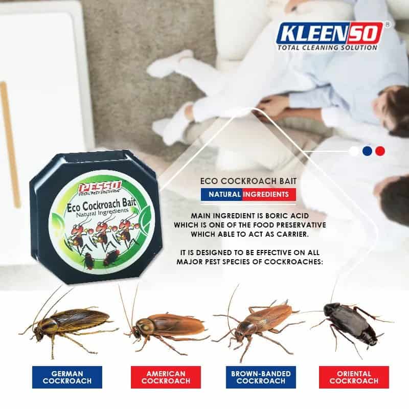 Kleenso Pesso Eco Cockroach Bait 2pcs (Cockroach Repellent) Umpan Lipas 4 kleenso A picture of Kleenso Pesso Eco Cockroach Bait 2pcs (Cockroach Repellent) Umpan Lipas and cockroaches on a couch.